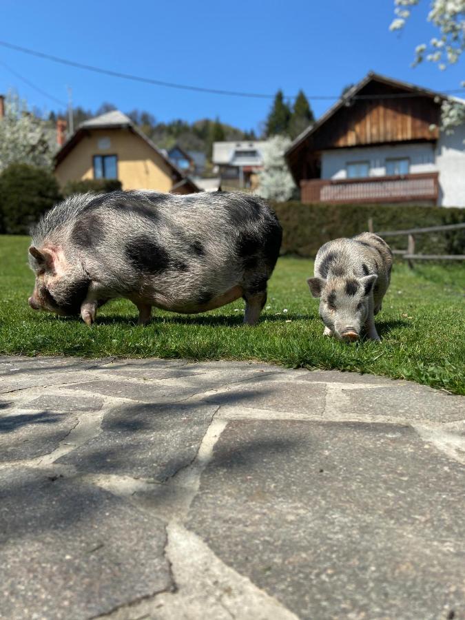 Tourist Farm "Pri Biscu" Villa Bled Eksteriør billede